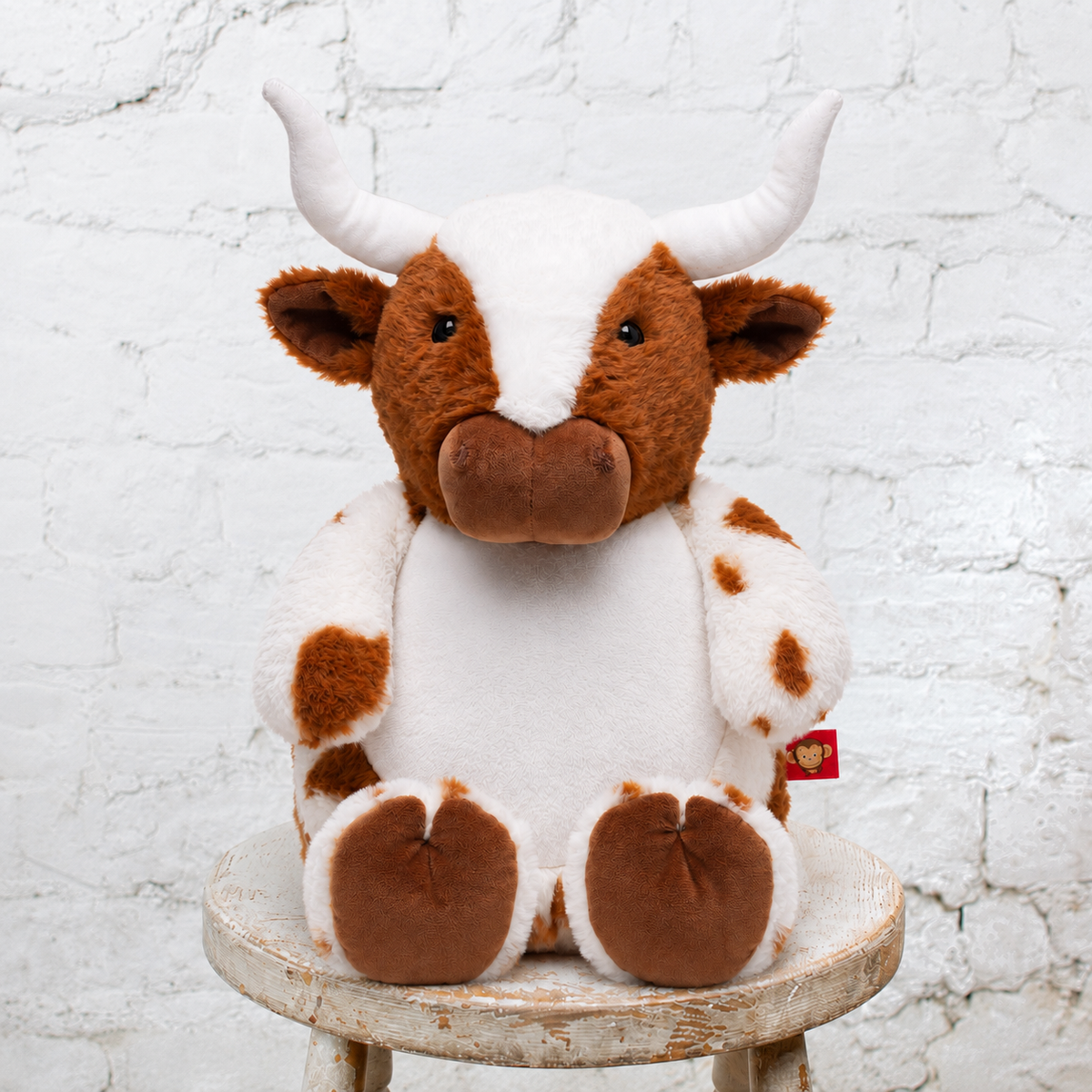 Personalized Keepsake Plush with Full Birth Stats
