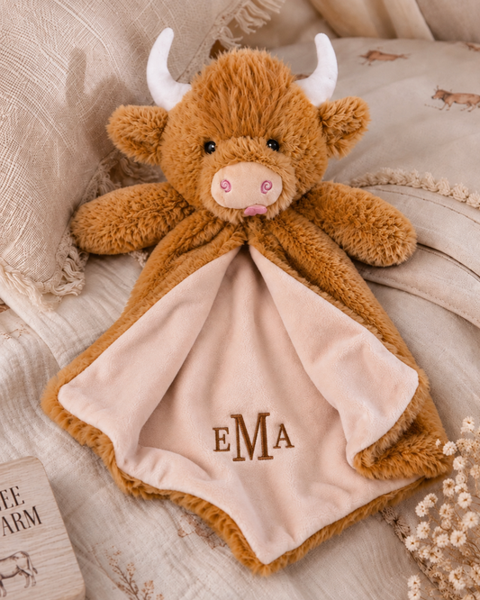 Personalized Lovey Cuddle Blanket